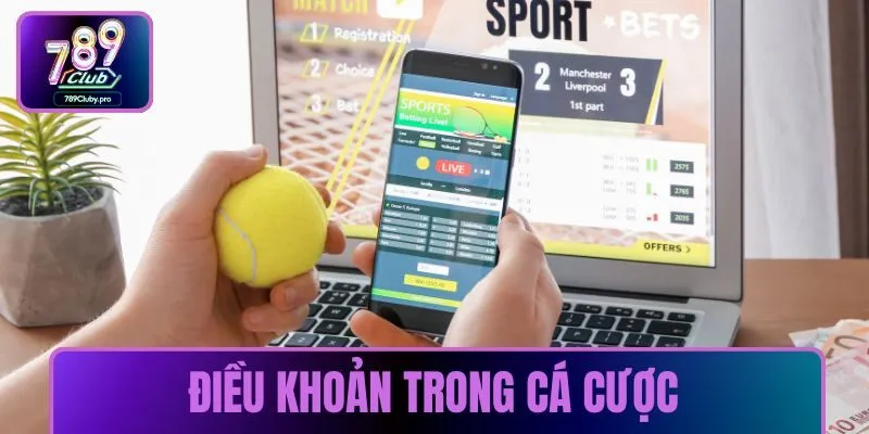 Điều khoản trong cá cược