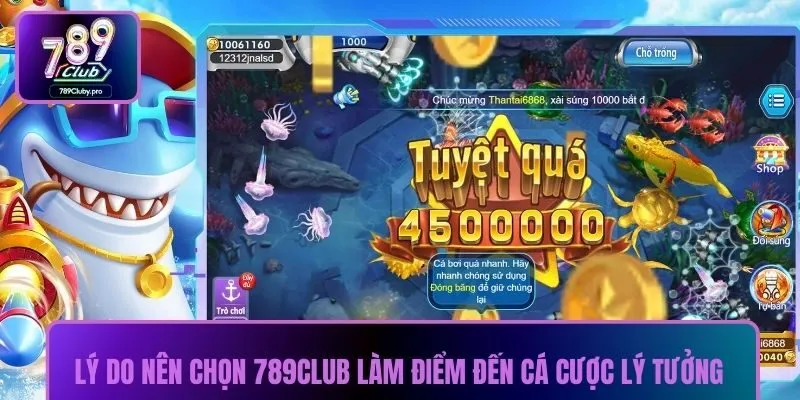 Lý do nên chọn 789CLUB làm điểm đến cá cược lý tưởng
