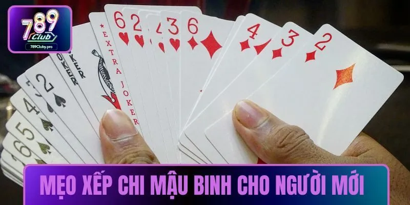 Các mẹo xếp chi Mậu Binh cho người mới bắt đầu