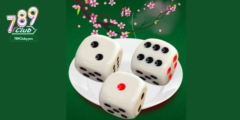 Hướng dẫn sử dụng tool tài xỉu hiệu quả